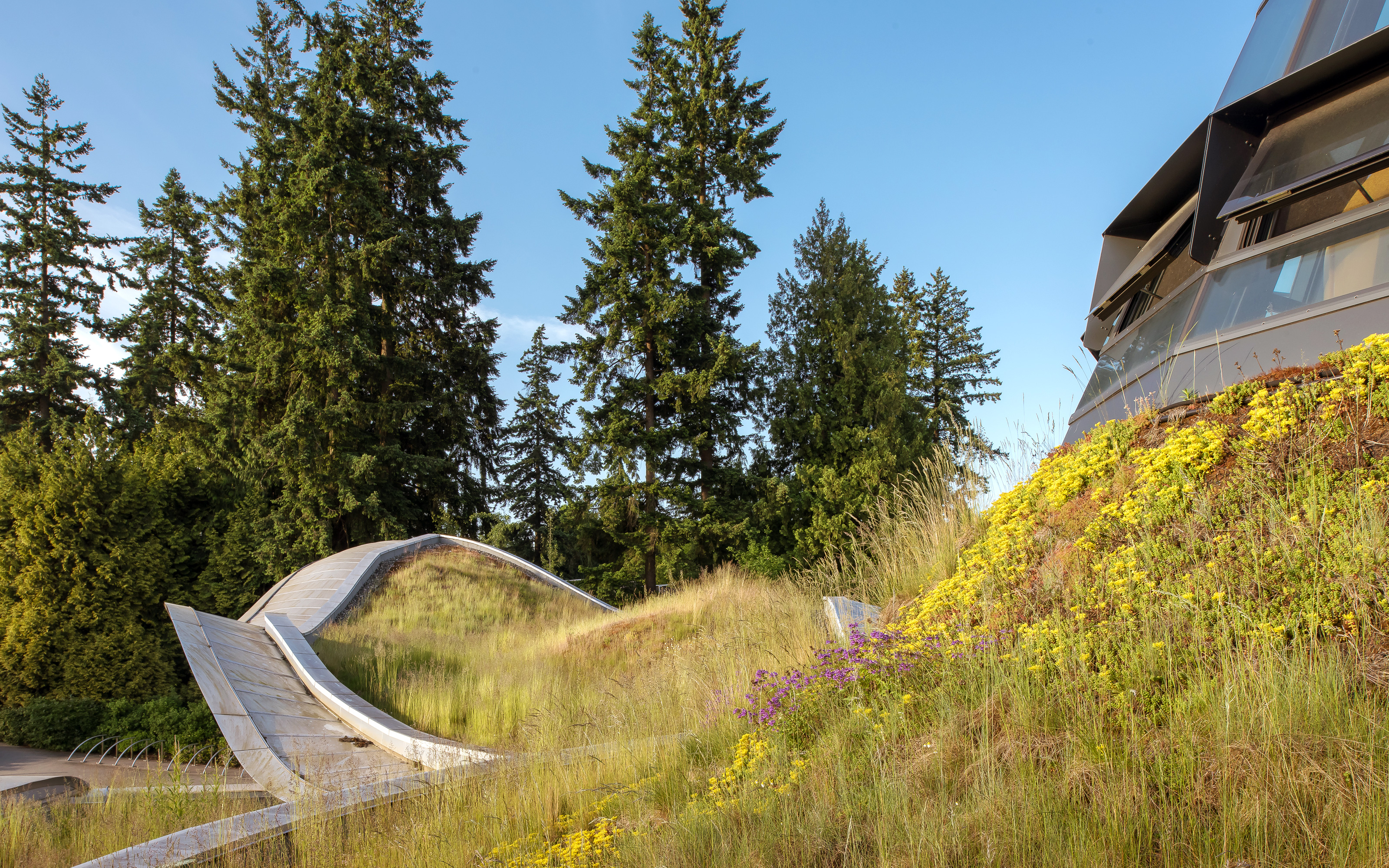 Undulating vegetated roof